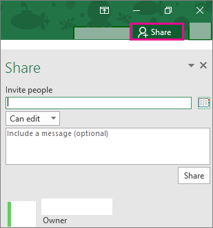 share-excel-2016